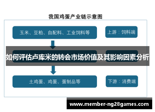 如何评估卢库米的转会市场价值及其影响因素分析