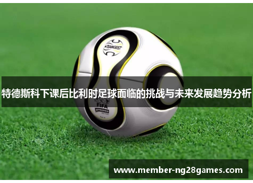 特德斯科下课后比利时足球面临的挑战与未来发展趋势分析