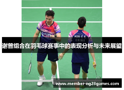谢曾组合在羽毛球赛事中的表现分析与未来展望