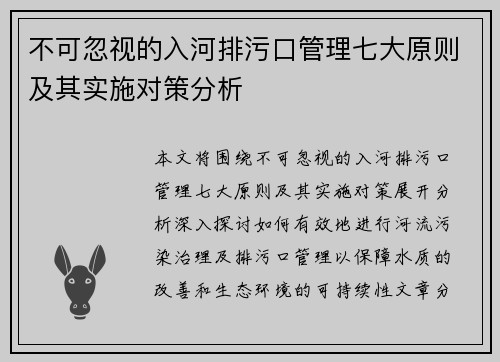 不可忽视的入河排污口管理七大原则及其实施对策分析