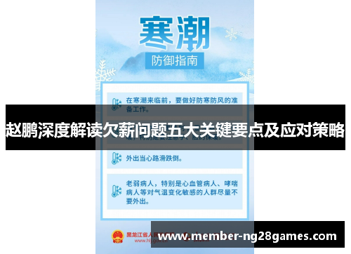 赵鹏深度解读欠薪问题五大关键要点及应对策略 赵鹏深度解读欠薪问题五大关键要点及应对策略
