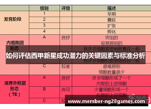 如何评估西甲新星成功潜力的关键因素与标准分析