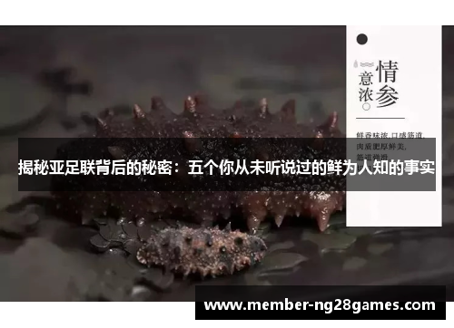 揭秘亚足联背后的秘密：五个你从未听说过的鲜为人知的事实