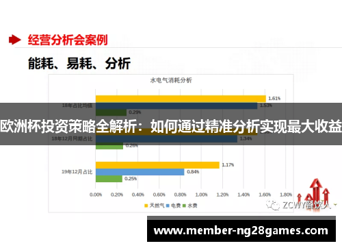 欧洲杯投资策略全解析：如何通过精准分析实现最大收益