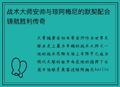 战术大师安帅与琼阿梅尼的默契配合铸就胜利传奇