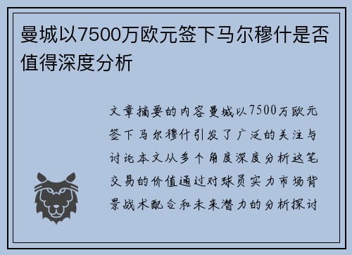 曼城以7500万欧元签下马尔穆什是否值得深度分析
